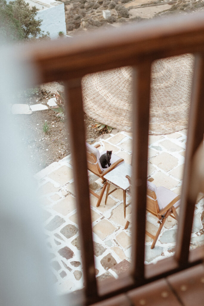 castrum-hotel-cat